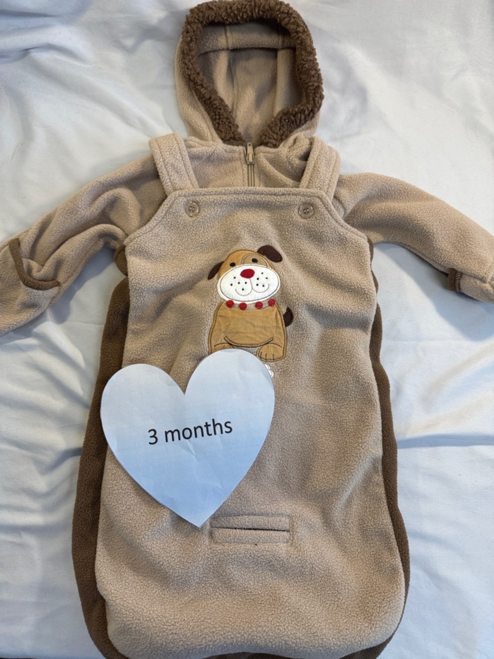 Okie Dokie Tan bunting bag and snow suit with Puppy Design